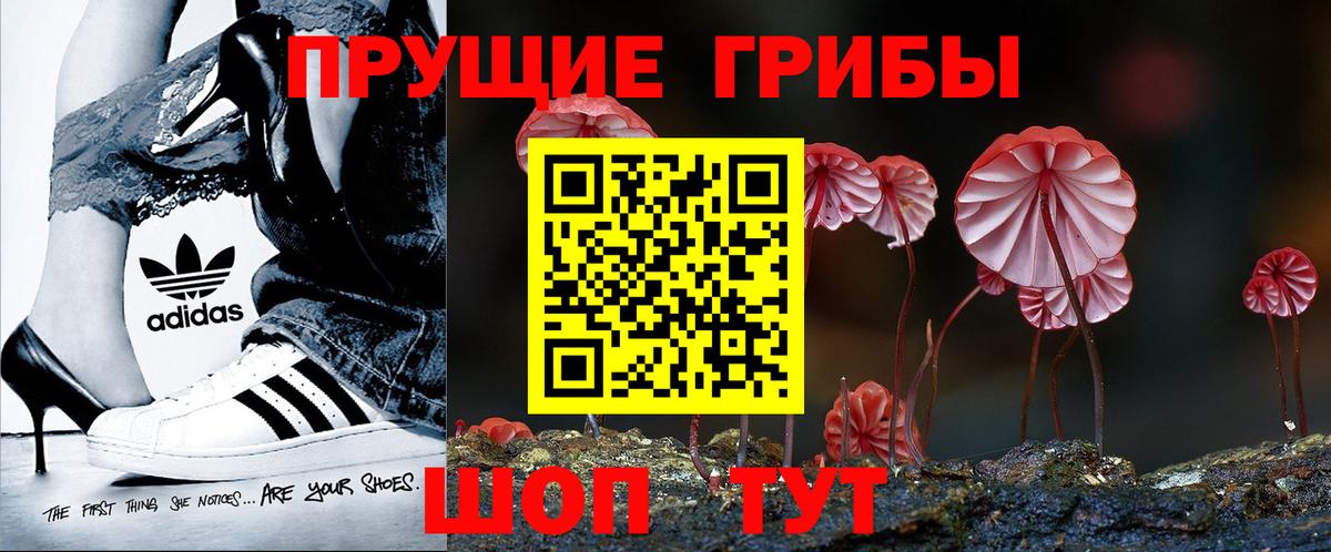 Псилоцибиновые грибы MAGIC MUSHROOMS Ейск