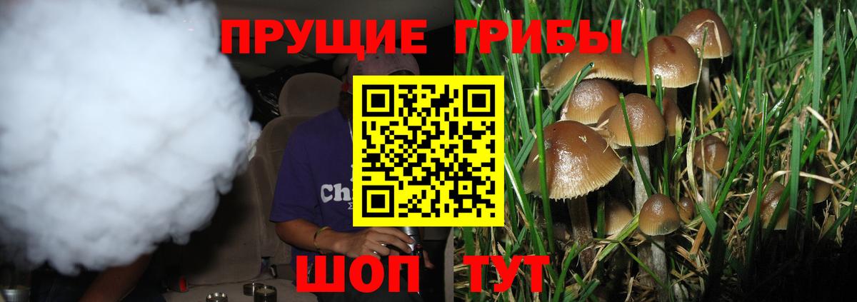 ГАШ Ейск